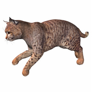 wild cat standing photo sculpture