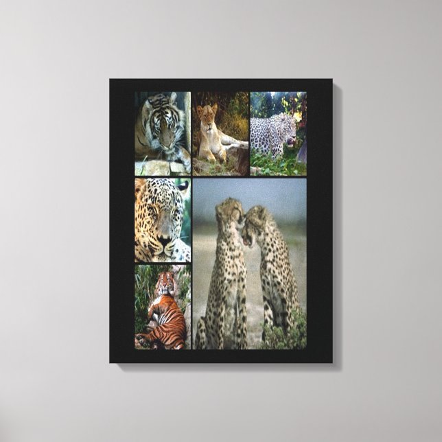 Wild cats collage Wrapped Canvas (Front)