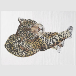 Wild Cats Series Design 3 Tissue Paper