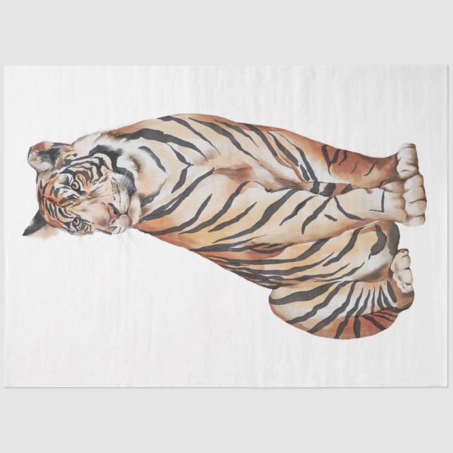 Wild Cats Series Design 4 Tissue Paper (Front)