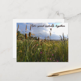 Wild Cattails and Summer Meadow Postcard