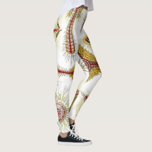 Wild Chamomile by Ernst Haeckel, Vintage Nature Leggings