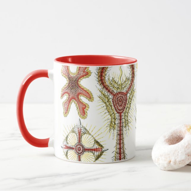 Wild Chamomile by Ernst Haeckel, Vintage Nature Mug (With Donut)