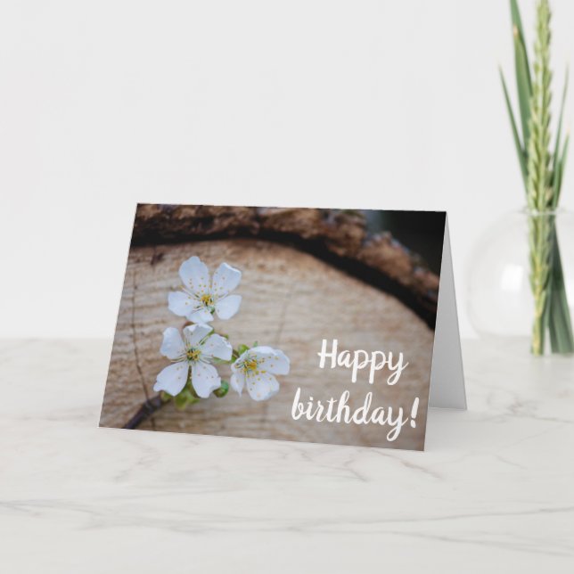 Wild Cherry Flowers Birthday Card (Front)