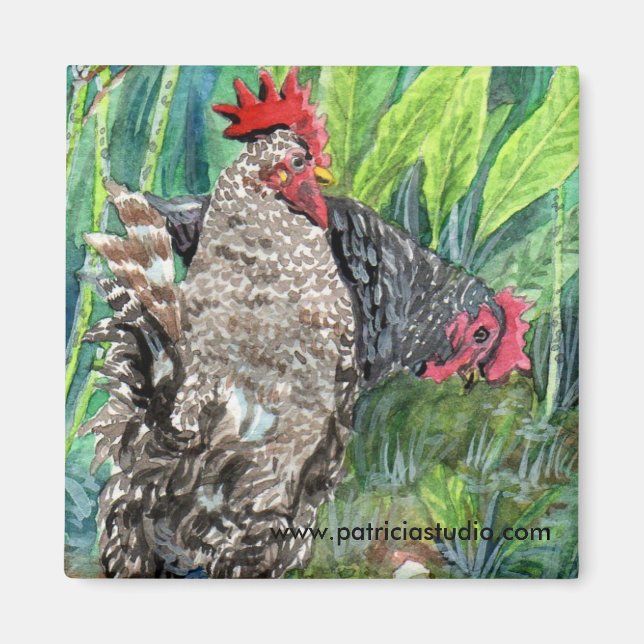 Wild Chicken Magnet (Front)