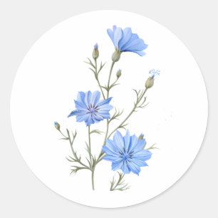 Wild Chicory Flower Botanical Watercolor Art Classic Round Sticker
