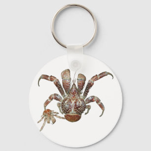 Wild Coconut Crab from Carribean Key Ring