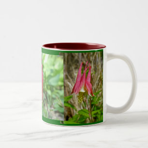 Wild Columbine Mug