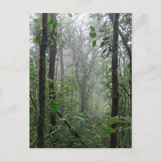 wild costa rica postcard