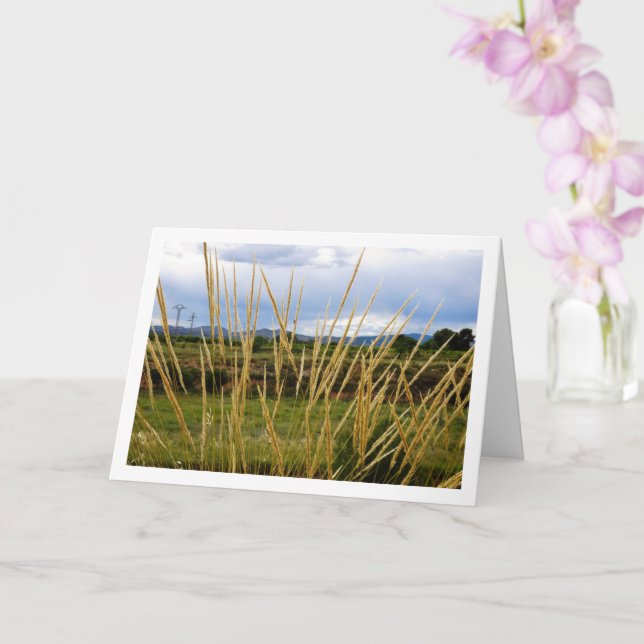 Wild Country Grass Landscape Card (Orchid)