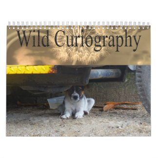 Wild Curiography Dog Calendar
