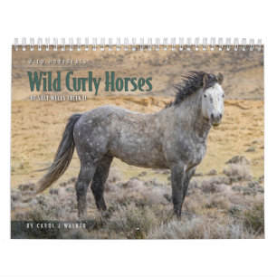 Wild Curly Horses of Salt Wells Creek Calendar
