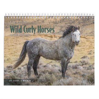 Wild Curly Horses of Salt Wells Creek Calendar