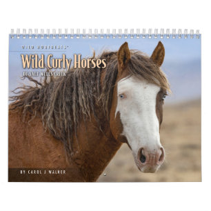 Wild Curly Horses of Salt Wells Creek Calendar