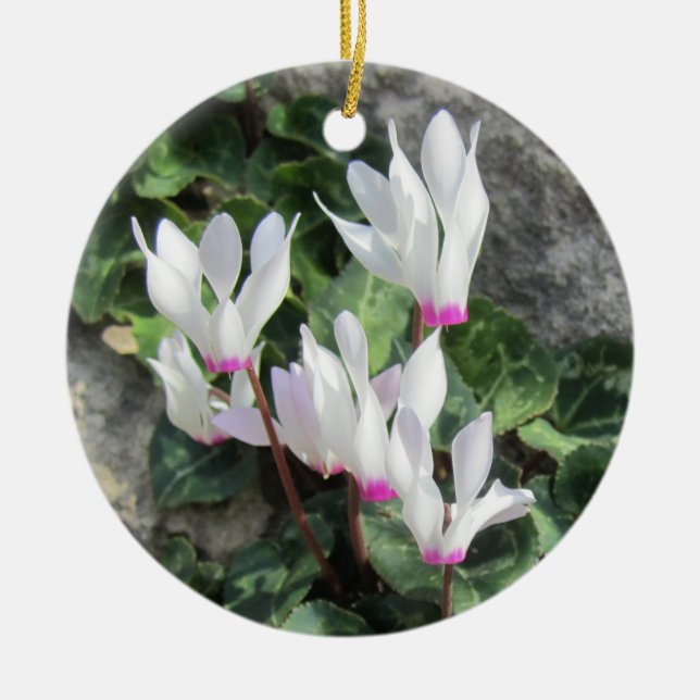Wild Cyclamen Ceramic Tree Decoration (Front)