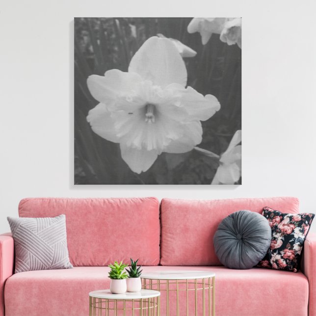 Wild Daffodil Canvas Print (Insitu(LivingRoom))