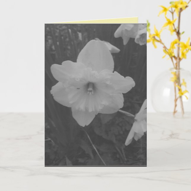 Wild Daffodil Card (Yellow Flower)