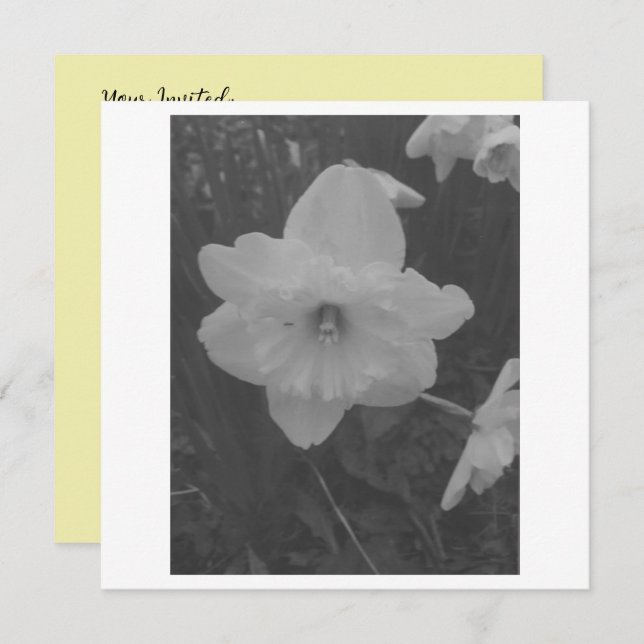 Wild Daffodil Invitation (Front/Back)