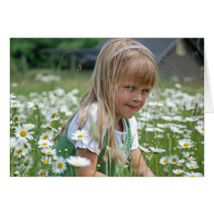 Wild Daisies