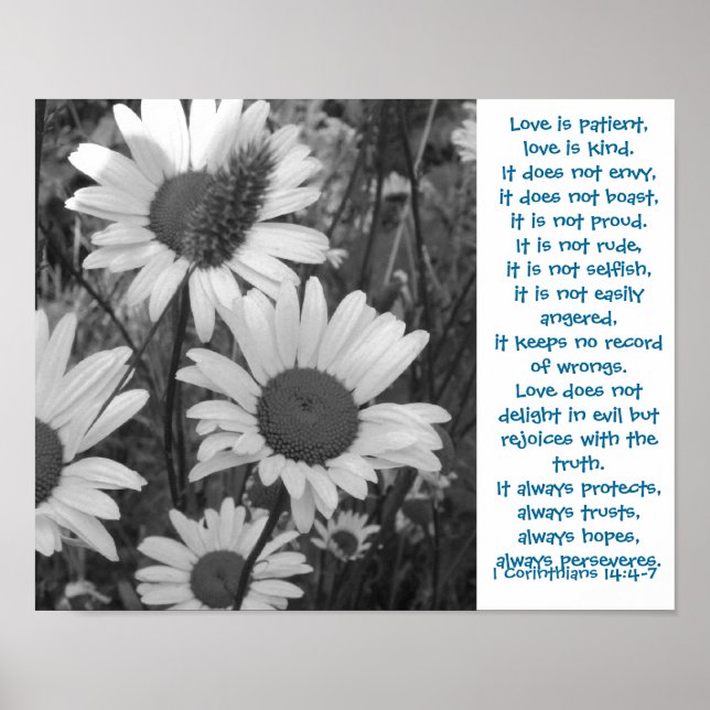 Wild Daisies Love Poster (Front)