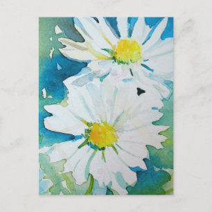 Wild Daisies Postcard