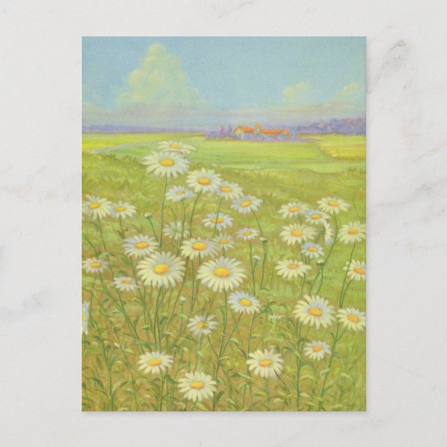 Wild Daisy by Cargill, 1937 Postcard (Front)