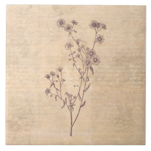 Wild Daisy Flower Wildflower Antique Script Paper Tile
