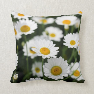 Wild daisy flowers close up cushion