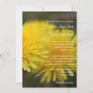 Wild dandelion flowers spring, summer, wedding invitation