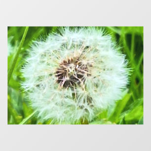 Wild Dandelion Romania Botanical Macro Photograpy Window Cling