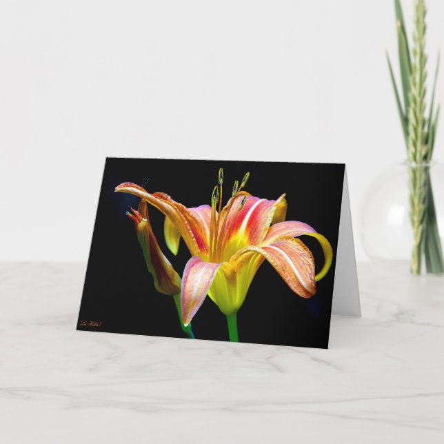 Wild Daylily On A Dark Morning Hike Thank You Card (Front)