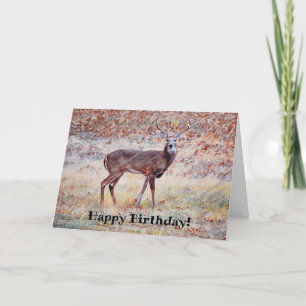 Wild Deer Buck Pretty Pun Birthday Card