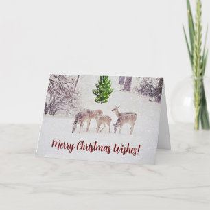 Wild Deer in Snow Winter Christmas Card