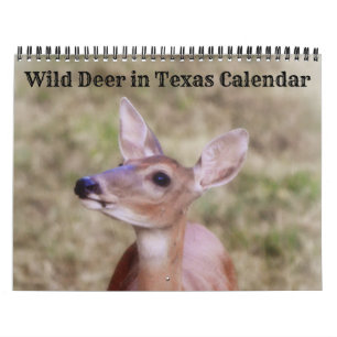 Wild Deer in Texas Calendar