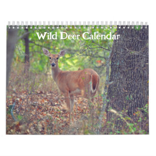 Wild Deer Nature Calendar