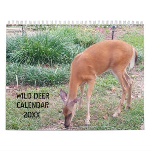 Wild Deer Photography Calendar