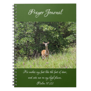 Wild Deer Prayer Journal Notebook