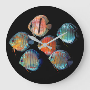 Wild Discus fish Large Clock