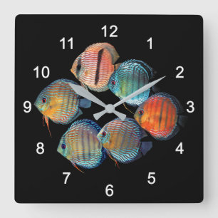Wild Discus fish Square Wall Clock