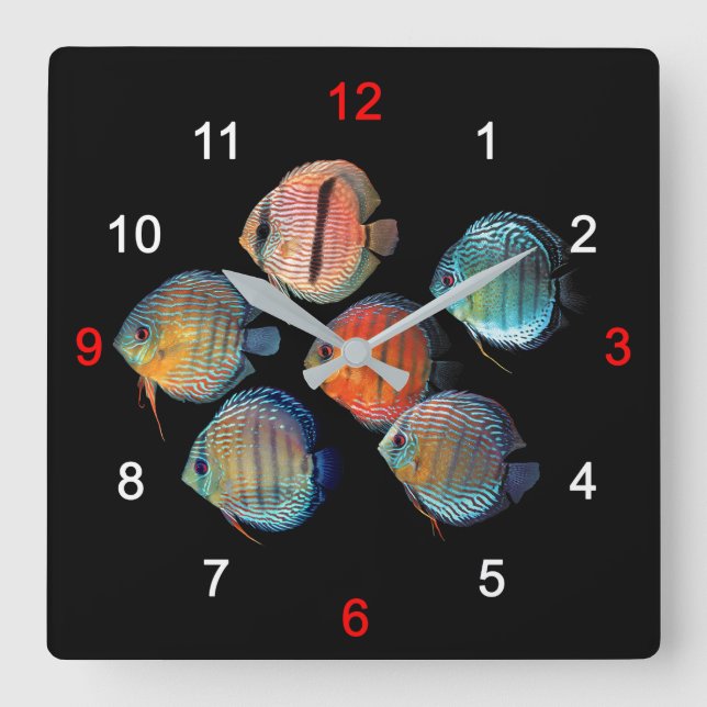 Wild Discus fish Square Wall Clock (Front)