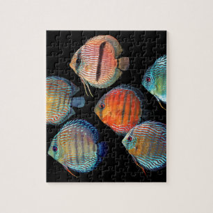 Wild Discus Jigsaw Puzzle