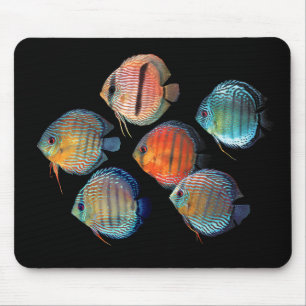 Wild Discus Mouse Mat