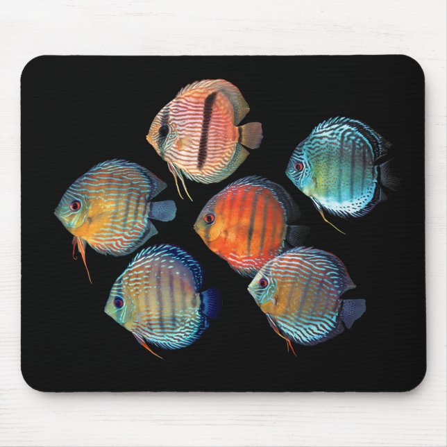 Wild Discus Mouse Mat (Front)