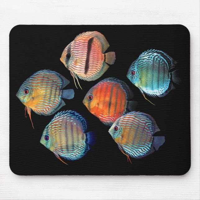 Wild Discus Mouse Mat (Front)