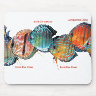 Wild Discusfishのマウスパッド Mouse Mat