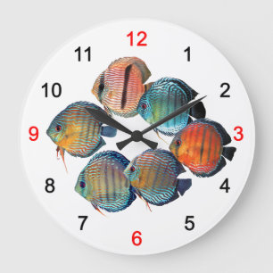 Wild Discusfish Large Clock