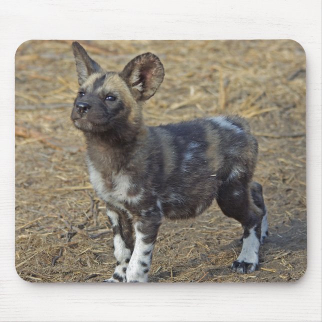 Wild Dog Puppy Mouse Mat (Front)
