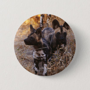 Wild Dogs round button