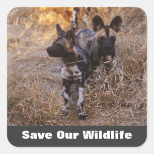 Wild Dogs Save Our Wildlife Square Sticker
