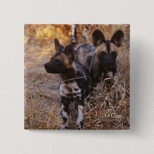 Wild Dogs square button